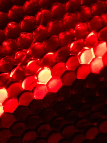 portfolio4